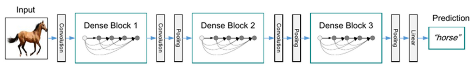 Рис. 11. DenseNet с тремя плотными блоками [11]