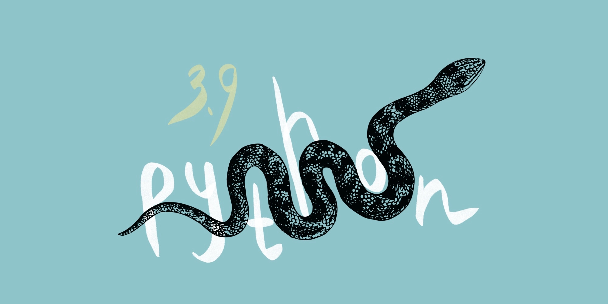 🐍👨‍💻️ Python 3.9: мнения экспертов