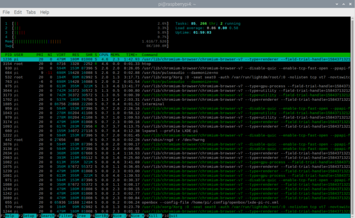 Рис. 11. Список запущенных процессов в Raspberry Pi 4