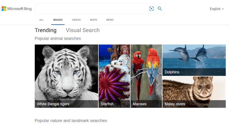   11 лучших поисковых систем по изображениям, которые нельзя пропустить