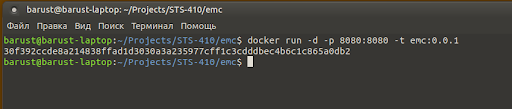 Результат команды <code class="inline-code">run</code> должен быть таким.