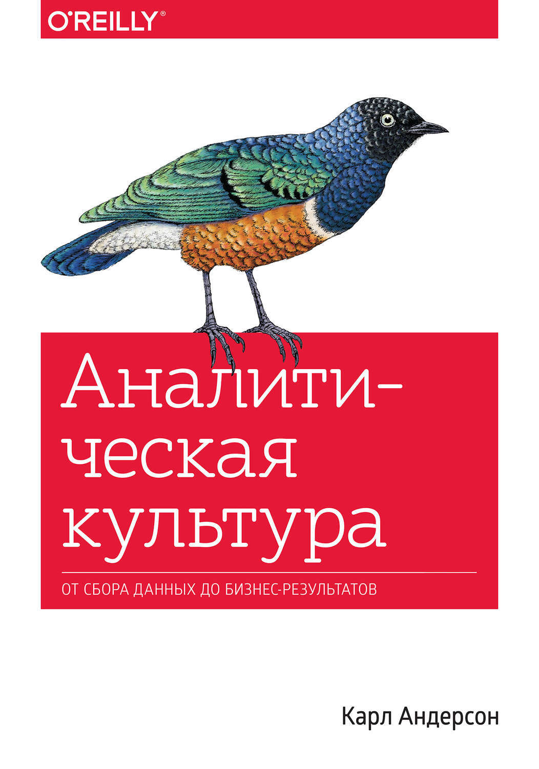 👨💼 ТОП-10 книг по Business Intelligence на русском языке: от новичка до профессионала
