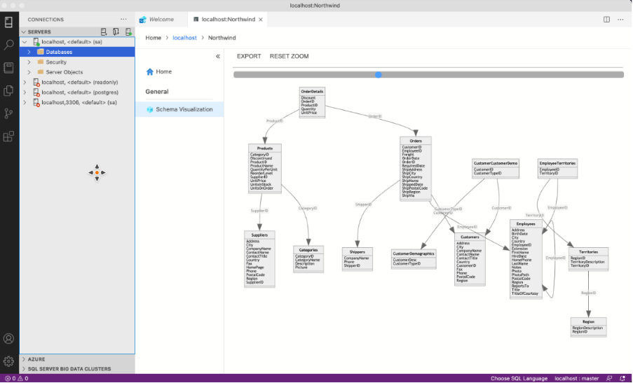  Schema Visualization