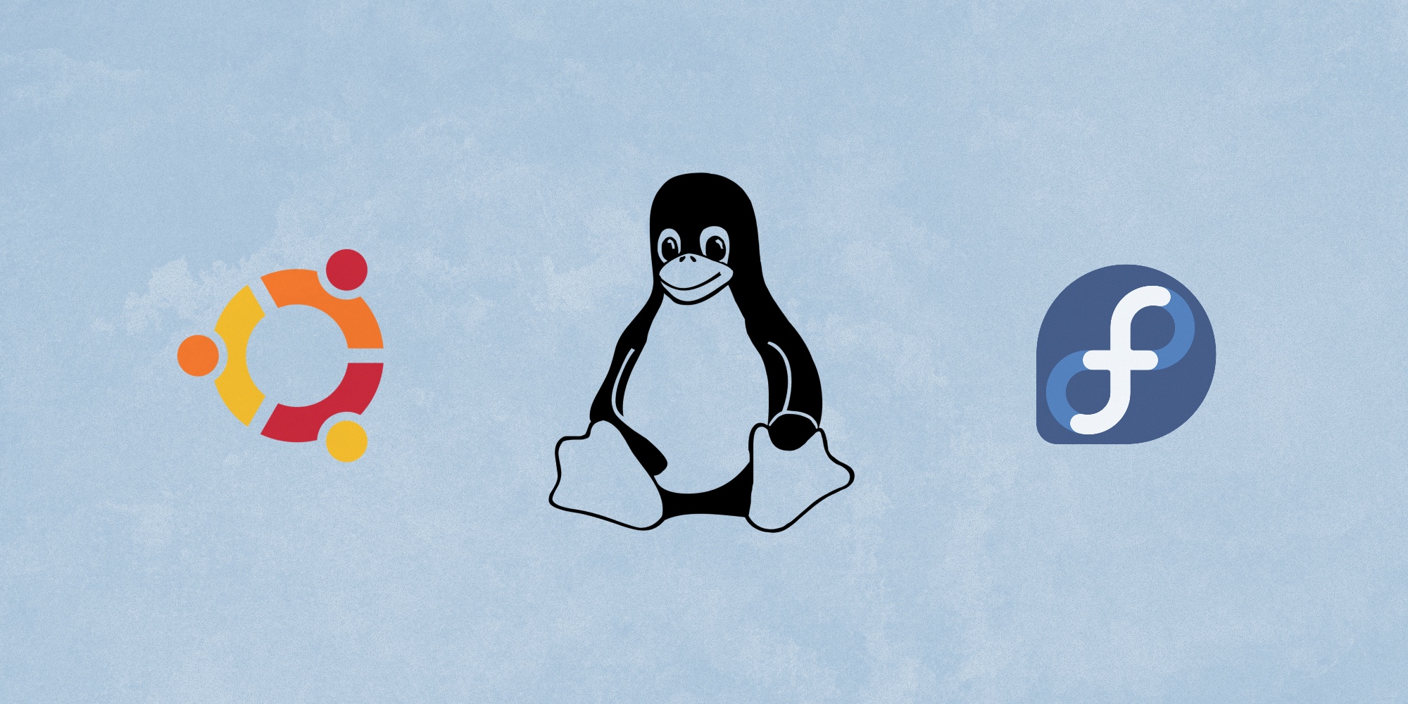 🐧 Тест для новичков: какой дистрибутив Linux выбрать?