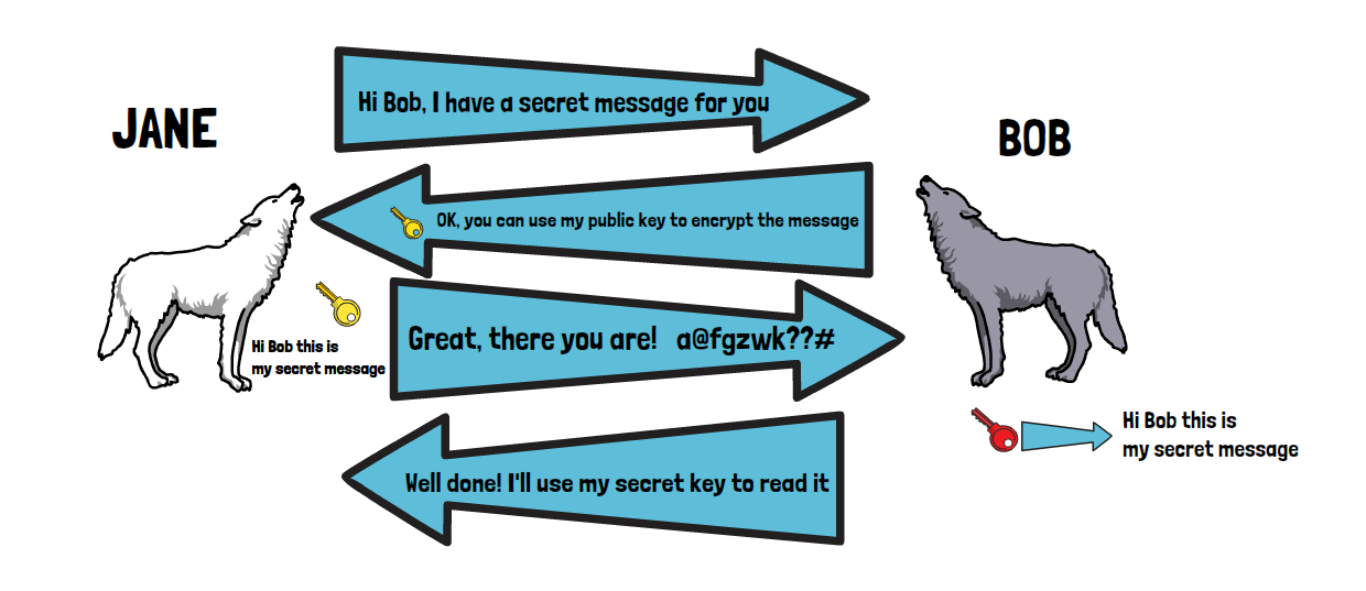 Передача сообщений между волками, каждый из которых обладает секретным ключом