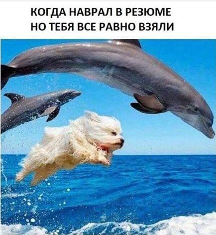 📝 Почему мое резюме собирает мало просмотров на job-сайтах: 6 главных ошибок и как их исправить
