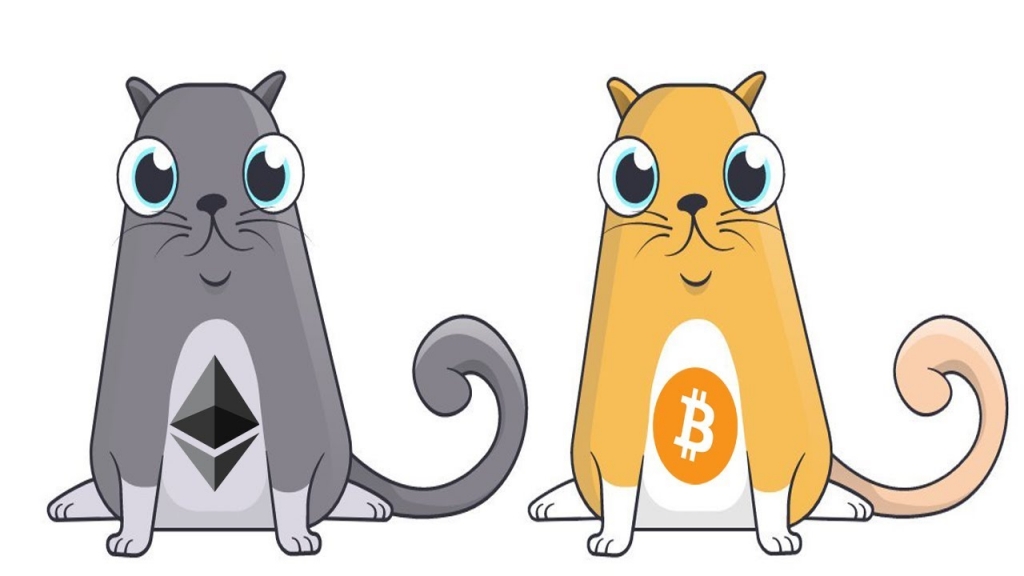 Криптовалюта и крипто-котики