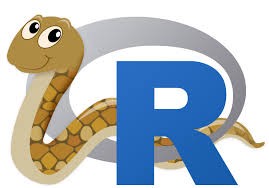 r и python